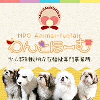 通信教育 Animal Funfair わんとーむ 少人数制 動物介在福祉専門事業所